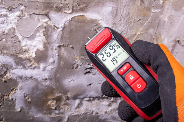 Best Residential Mold Remediation in Metropolis, IL